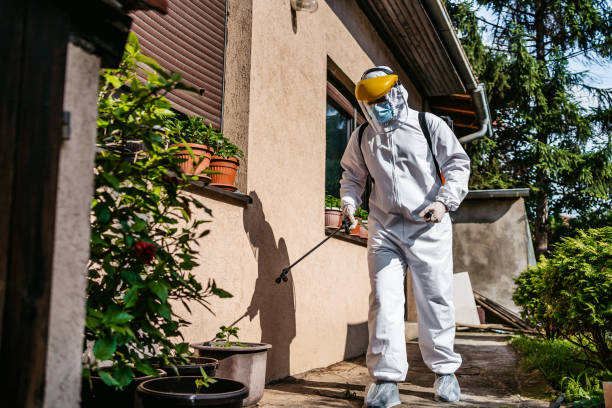 Best Cockroach Control Services  in Palmetto Bay, FL